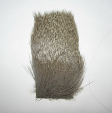��� ����� deer dyed  md. dun  5 � 7,5